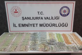 IMG-20221005-WA0013