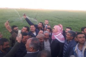 Mahmut-Tanal-Urfa