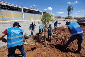sanayi bölgesinde ağaçlandırma çalışmaları (8)