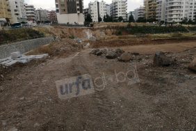 InShot_20230619_013034299