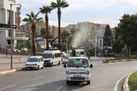 BÜYÜKŞEHİR, BEYAZ SİNEKLE MÜCADELE EDİYOR (2)