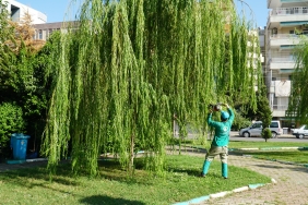 FOTO (4)