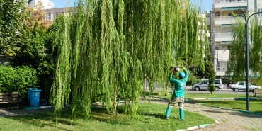 FOTO (4)