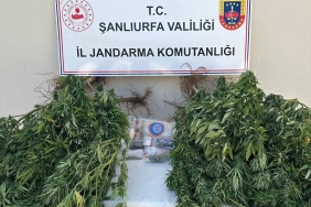edirne-de-40-duzensiz-gocmen-yakalandi-2-17820120_amp