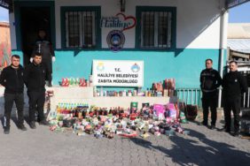 FOTO (4) (8)