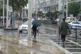 images (12)