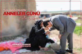 IMG-20250511-WA0001